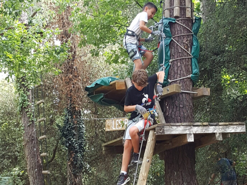 Accrobranche