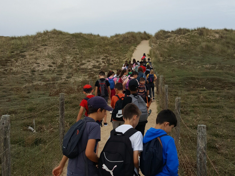 Découverte de la dune